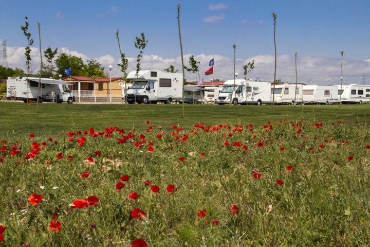 Camping De Olite Eksteriør billede